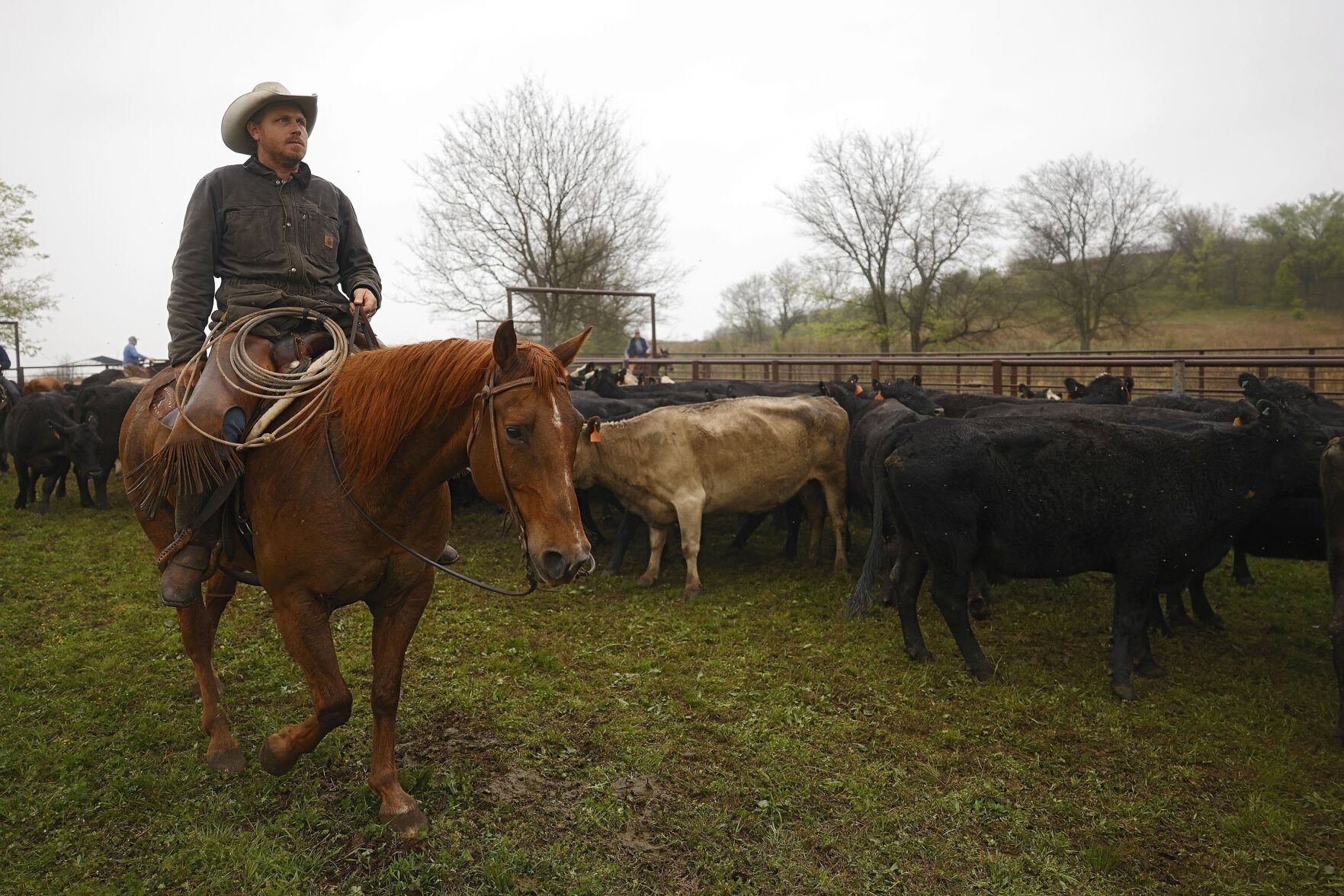 McFarlin Ranch